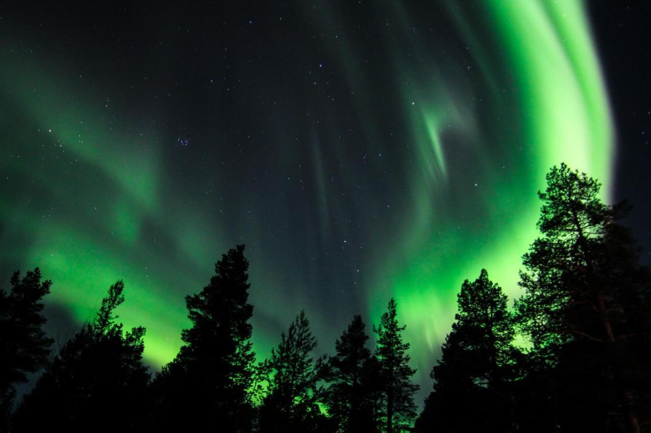 Sorrisniva Arctic Wilderness Lodge Alta Luaran gambar